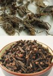 餐飲爆款年年有，今年輪到了美蛙魚頭了【四川火鍋底料批發(fā)價格】