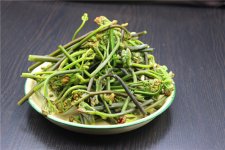 蕨菜有毒不敢用？真的是這樣的嗎【重慶火鍋底料批發(fā)在哪里】