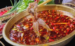 組合式主食材火鍋的春天來了，美蛙魚頭發(fā)展勢頭迅猛【重慶火鍋底料廠地址】