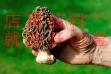 菜品如何提升檔次？【重慶火鍋底料批發(fā)價格】