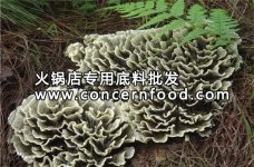 拿去開(kāi)店系列：干巴菌,火鍋底料廠家