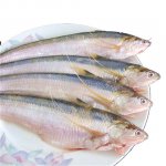 長江刀魚禁捕兩個(gè)月后，竟有飯店公然出售相關(guān)菜品