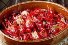 小龍蝦跌破10元/斤！可飯店為啥還是賣那么貴？
