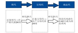 雞肉瘋狂漲價(jià)！餐企要如何應(yīng)對(duì)？【重慶火鍋底料批發(fā)】
