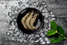 多地市場嚴(yán)查厄瓜多爾白蝦！部分地區(qū)“一刀切”，要求全部下架【重慶火鍋底料在哪里買最好】