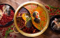 被合伙人坑了上百萬(wàn)，他不服輸！變爛攤子為26家千平大店【重慶火鍋底料批發(fā)官網(wǎng)】